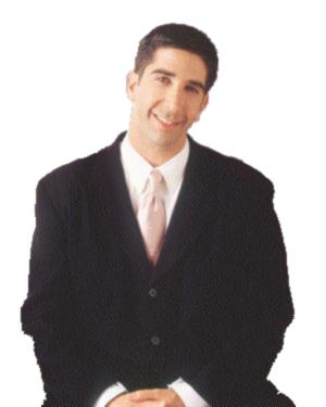 friend-schwimmer.jpg (25721 octets)